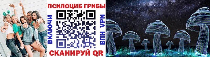 где можно купить наркотик  Рошаль  Псилоцибиновые грибы Magic Shrooms 